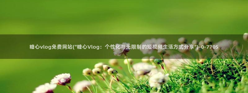 糖心vlog小站