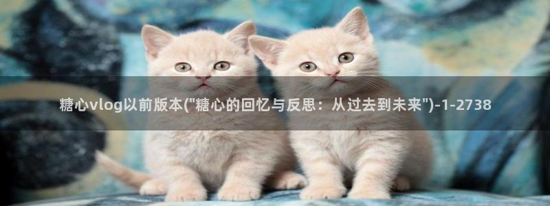 深夜放毒糖心vlog