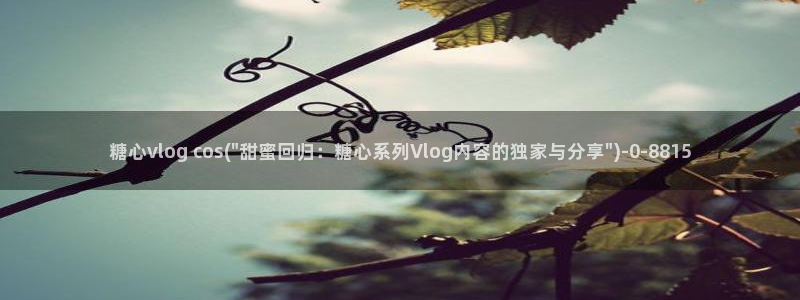 糖心vlog解锁vip