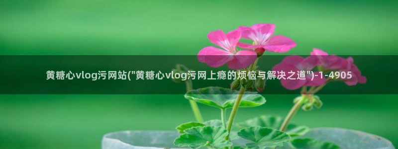 黄糖心Vlog软件
