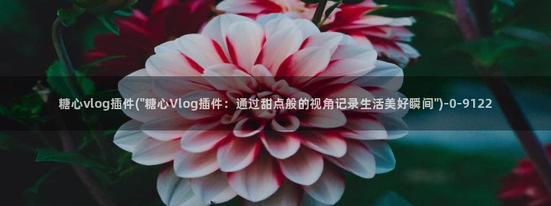 糖心vlog全网搜索