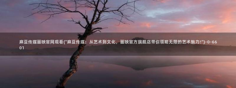 麻豆视频指南文案