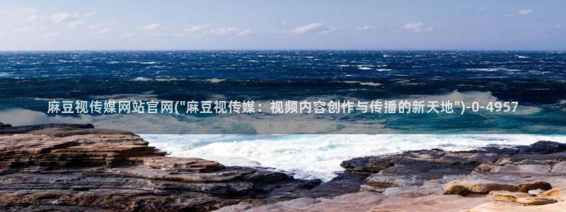 麻豆视频封面