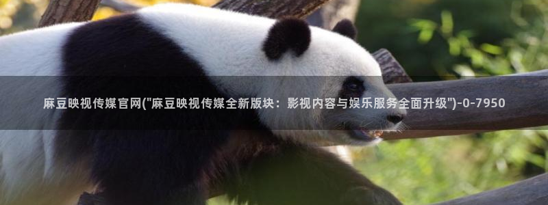 麻豆视频详情文案