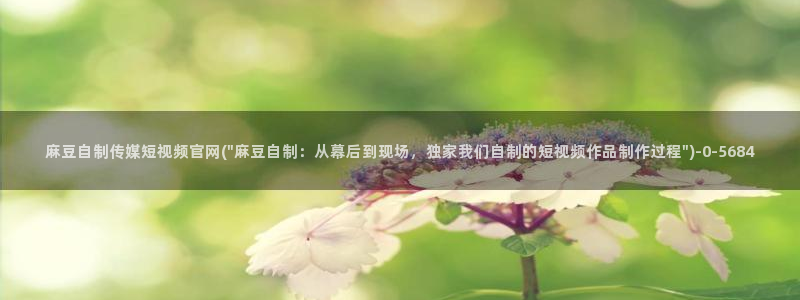 麻豆视频SEO词库：麻豆自制传媒短视频官网(\