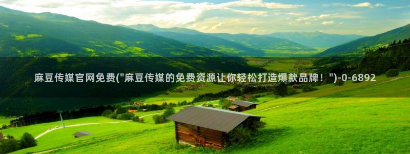 麻豆视频搜索：麻豆传媒官网免费(\
