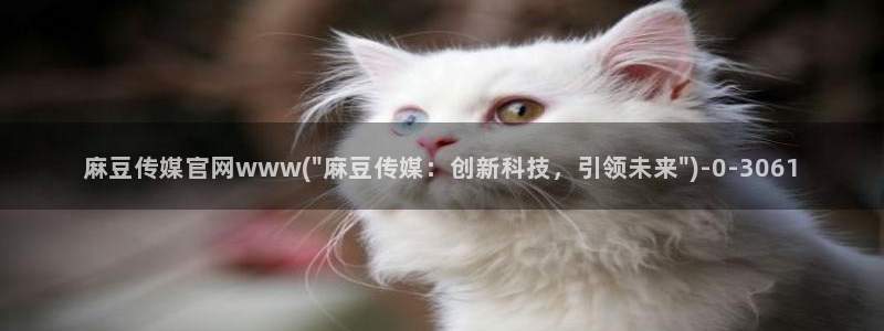 麻豆传媒：麻豆传媒官网www(\