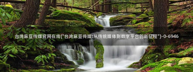 麻豆描述优化