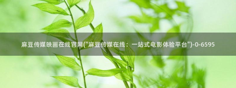 麻豆视频专题规划：麻豆传媒映画在线官网(\