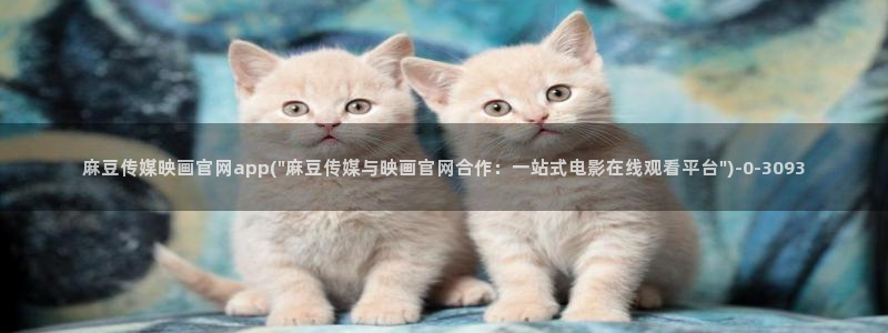 麻豆视频详情文案：麻豆传媒映画官网app(\