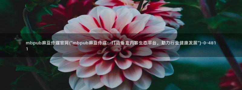 麻豆短片：mbpub麻豆传媒官网(\