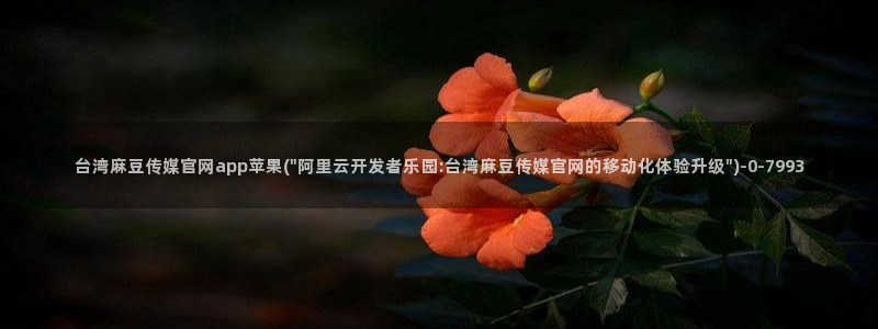 麻豆视频在线看：台湾麻豆传媒官网app苹果(\