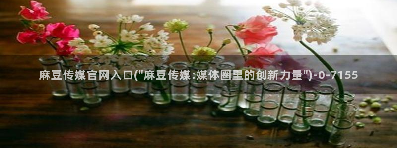 麻豆视频更新维护