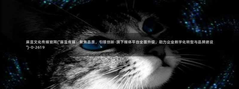 麻豆榜单描述