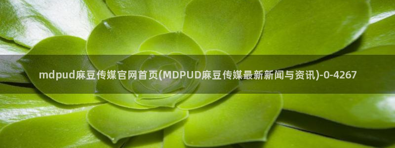 麻豆精品视频：mdpud麻豆传媒官网首页(MDPUD麻豆传媒最新新闻与资