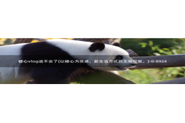 糖心vlog直播官网：糖心vlog进不去了(以糖