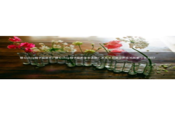 糖心vlog日本达人：糖心vlog柚子猫照片(\