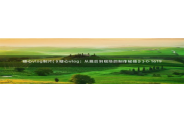 糖心vlog怎么删除：糖心vlog制片(《糖心v