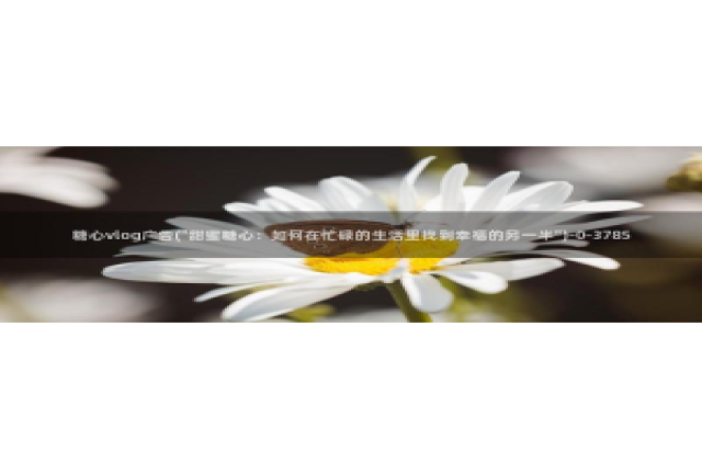 糖心vlog视频兑换码：糖心vlog广告(\