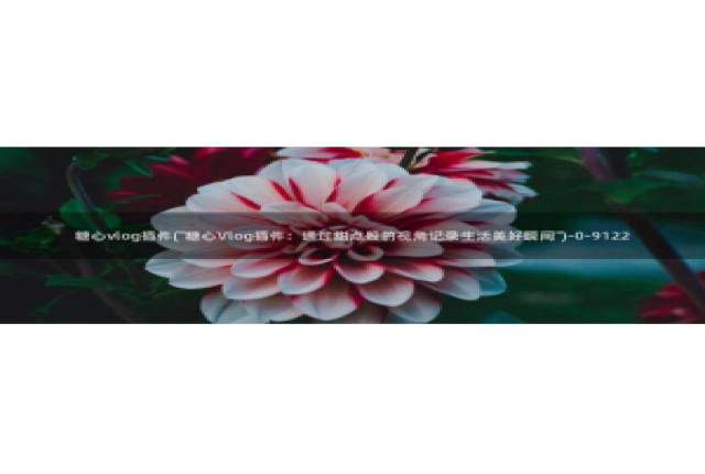 糖心vlog全网搜索：糖心vlog插件(\