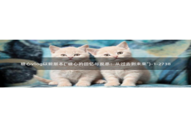 深夜放毒糖心vlog：糖心vlog以前版本(\