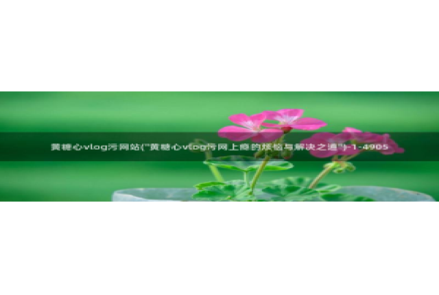 黄糖心Vlog软件：黄糖心vlog污网站(\