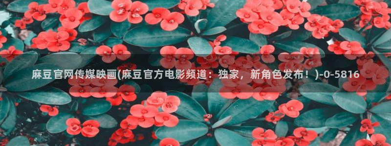麻豆精品视频
