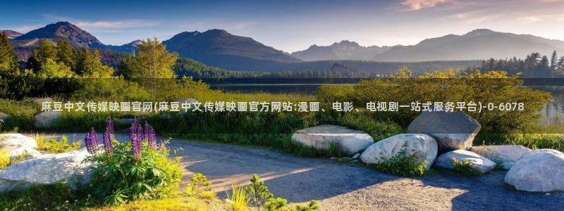 麻豆内容模板