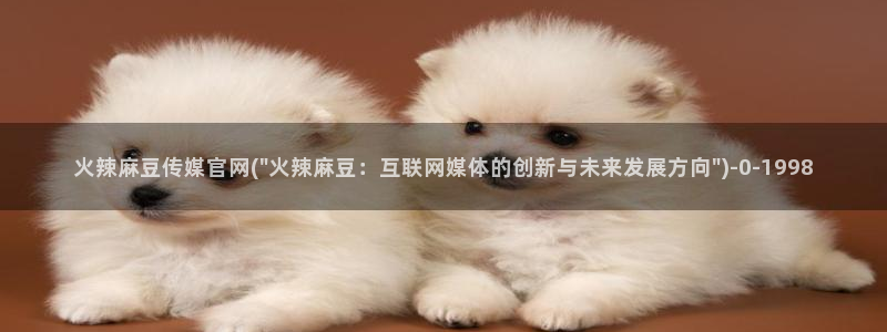 麻豆资讯标题