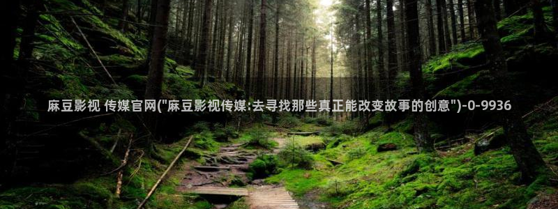 麻豆视频更新列表