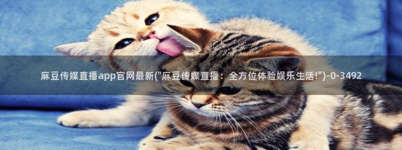 麻豆视频自然标题