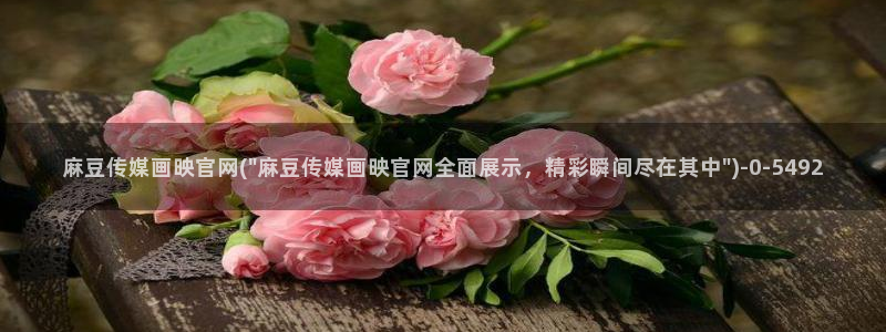 麻豆视频资源站