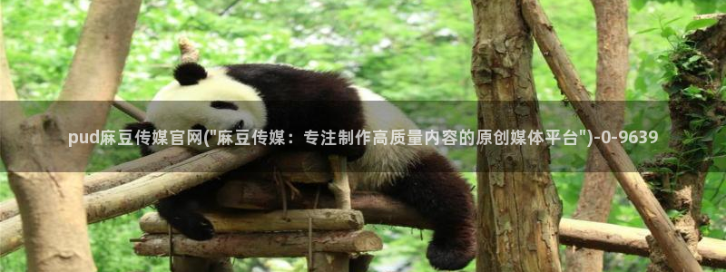 麻豆视频封面