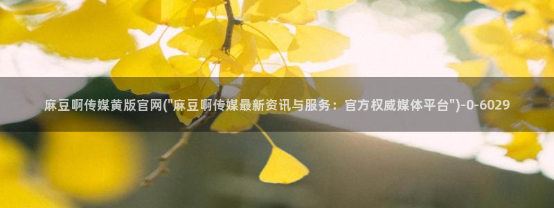 麻豆视频优质内容