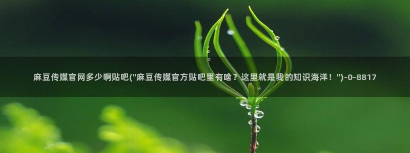 麻豆视频文章标题