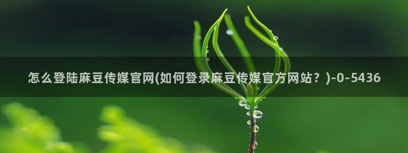 麻豆剧情短片