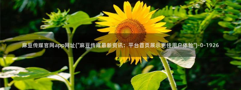 麻豆观看描述
