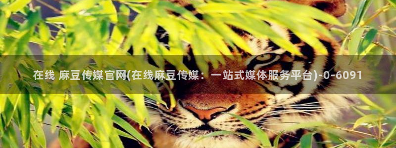 麻豆视频模板标签