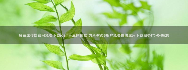 麻豆观看指南
