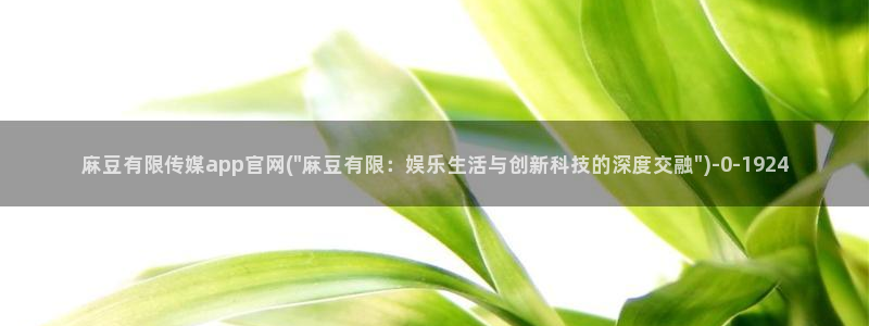 麻豆视频用户体验