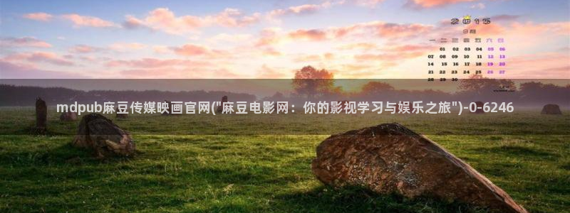 麻豆内容模板