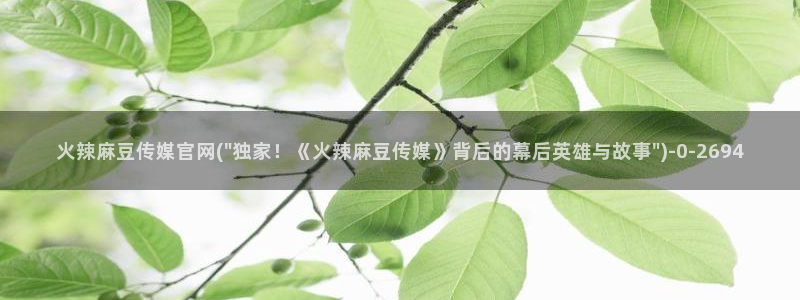 麻豆新片描述