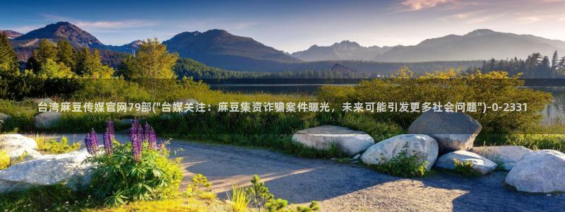 麻豆视频排行文案