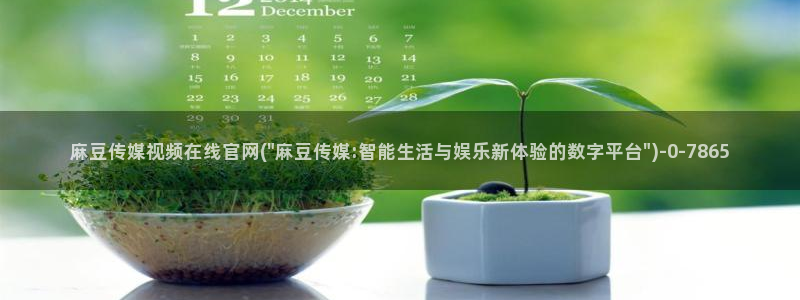 麻豆传媒视频