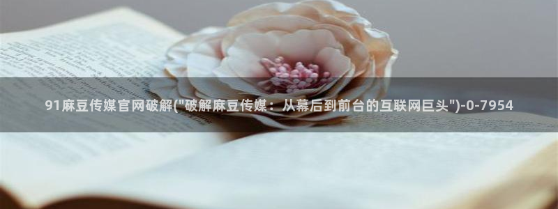 麻豆都市剧情